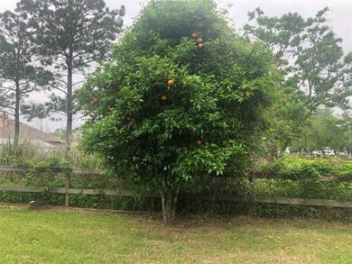 502 County Road 296, Alvin, TX 77511 - photo 7