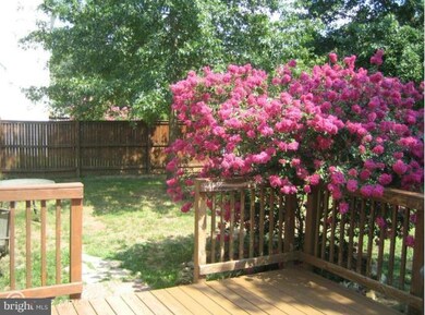 13231 Sapphire Ridge Place, Bristow, VA 20136 - photo 2