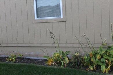 Hostas