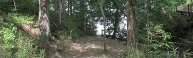Path cleared to water (photo from owners).