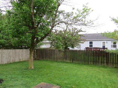 Fenced Back Yard