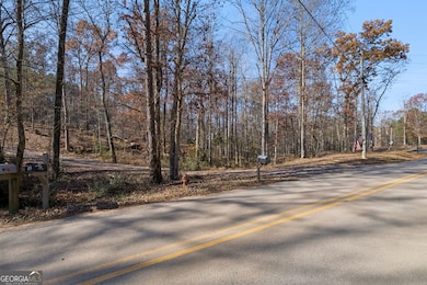 0 Ben Mosley Cir unit 10654033, Summerville, GA 30747 - photo 4