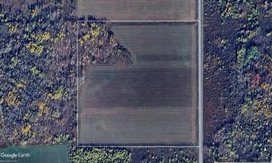 Aerial 40Ac ML Hewer Rd