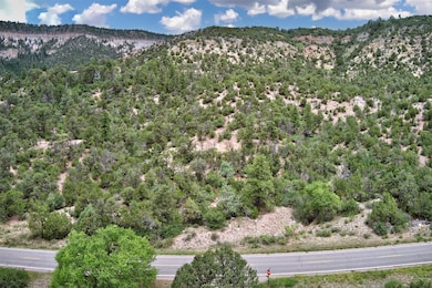 0 Eagle Heights North Tract: 1a1 unit 202503184, Jemez Springs, NM 87025 - photo 6