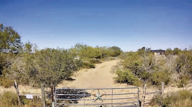 653 S U S Hwy 59, Georgewest, TX 78022 - photo 2