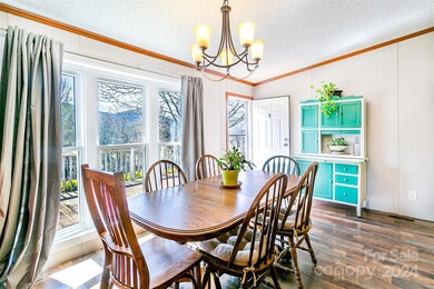 687 Newfound Rd, Leicester, NC 28748 - photo 6