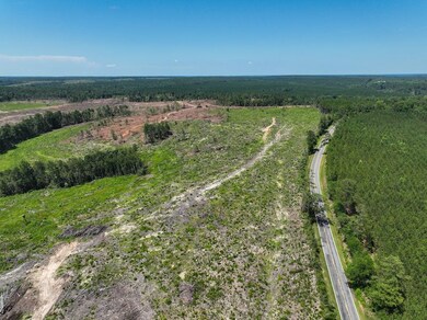 0 Long Branch Rd unit 25649021, Toomsboro, GA 31090 - photo 5