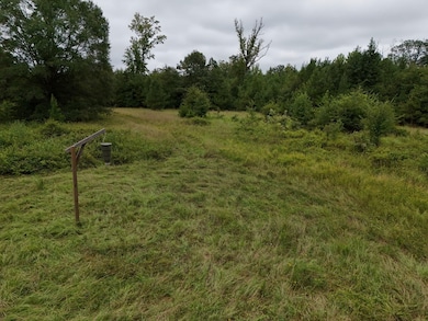 0 County Road 209 Rd, Selma, AL 36701 - photo 2