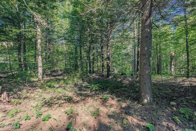 L.39.2 Rt 9, Ganesvoort, NY 12831 - photo 6