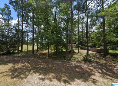 12755 Highway 169, Salem, AL 36874 - photo 4