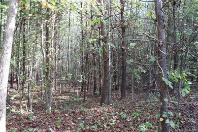 L54 Bowman Rd, Statesville, NC 28625 - photo 6