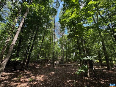 TBD Barracksdale Ln, Charlottesville, VA 22901 - photo 6