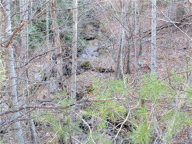 Creek along east side of property.