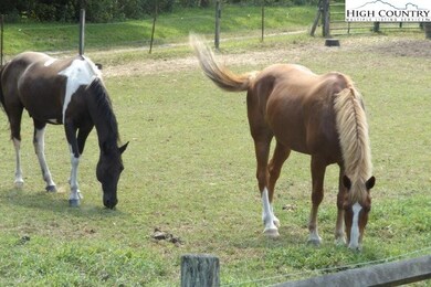 45 Elk Ridge Rd, Ferguson, NC 28624 - photo 3