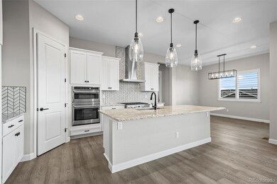 2751 Keepsake Way, Castle Rock, CO 80109 - photo 7