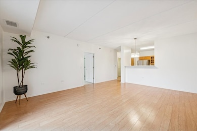 440 W Mahogany Ct unit 203, Palatine, IL 60067 - photo 3