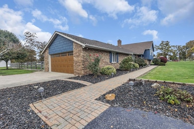 5-web-or-mls-0N4A2239