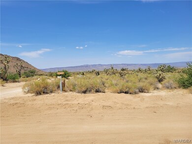 The view across the street while standing on the p