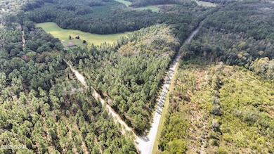 0 Douglas Ferry Rd unit 781383, Esto, FL 32425 - photo 4