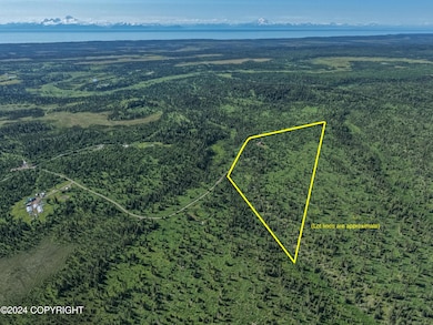 000 Stag Stream Ln, Nikolaevsk, AK 99556 - photo 4