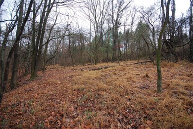 Lot 29 & 30 Staubwoods Dr, Romney, WV 26757 - photo 7