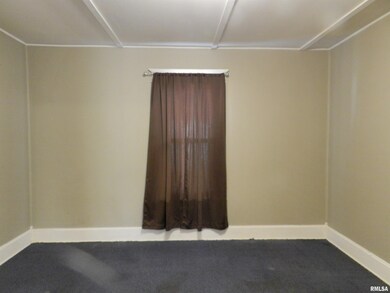 316 Williams St, Rosiclare, IL 62982 - photo 5