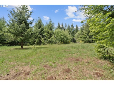 0 NW Pumpkin Ridge Rd, Northplains, OR 97133 - photo 7