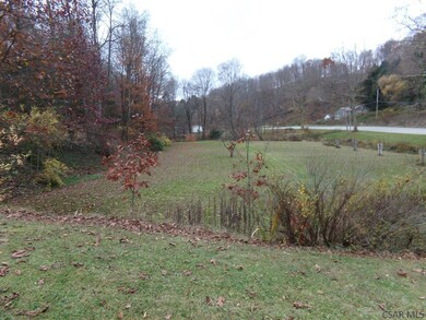 front yard