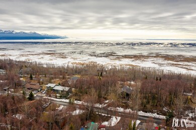 Aerial View w/inlet