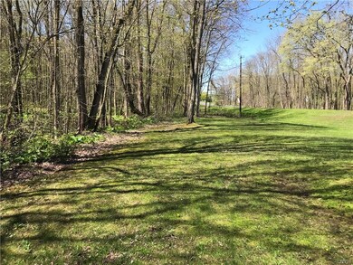 side yard