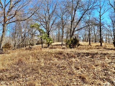 0 Off School House Rd unit 1210604, Siloam Springs, AR 72761 - photo 5