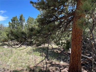 55 Deer Ct, Como, CO 80432 - photo 4