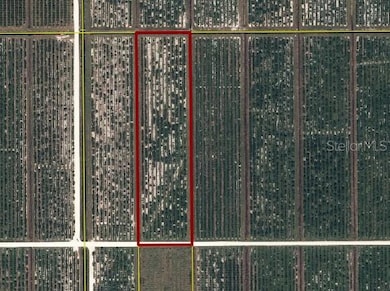 0 NE Highway 70 unit MFRC7514753, Arcadia, FL 34266 - photo 5