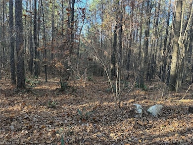 Lot 3 Willie Rd, Seagrove, NC 27341 - photo 7