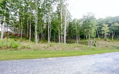 Additional View