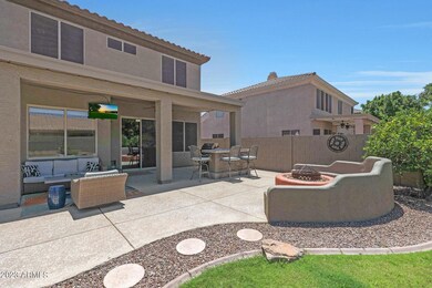 Backyard 11