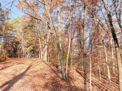 0 Meg Ln unit 1232777, Bella Vista, AR 72714 - photo 3