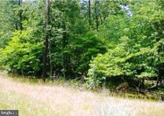 24 Pioneer Trail, Great Cacapon, WV 25422 - photo 7