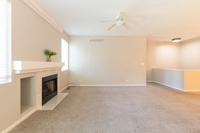12220 Pear Tree Way, Plainfield, IL 60585 - photo 4
