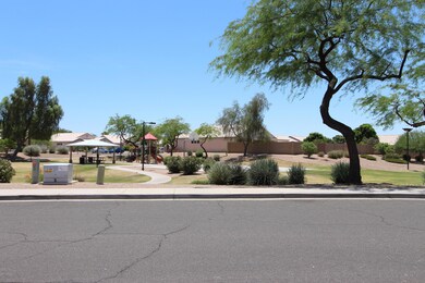 Play Park behind house