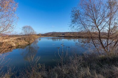 20 AC (mol) Parks St, Prairie Grove, AR 72753 - photo 3