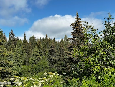 07C454DE-B4F6-49CE-8213-9028FC931E73