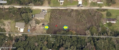 0000 NW 124th St, Anthony, FL 32113 - photo 2
