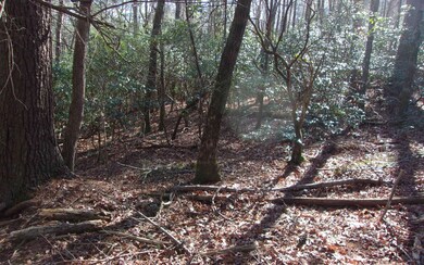 Additional View