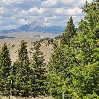 TBD Badger Microwave Rd (Blm Tc4) Rd, Dillon, MT 59725 - photo 5