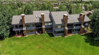 101 Blue Grouse Ln unit D, Silverthorne, CO 80498 - photo 3