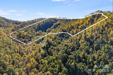 000 Hamburg Rd unit 49, Mars Hill, NC 28754 - photo 2