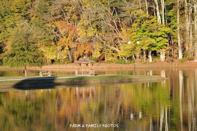 45600096_1884520018312209_10126719932558