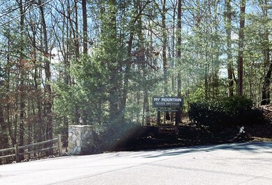 LOT 4LW Katydid Rd, Mineral Bluff, GA 30559 - photo 4