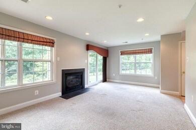 4301 Vintage Ivy Ln, Owings Mills, MD 21117 - photo 5